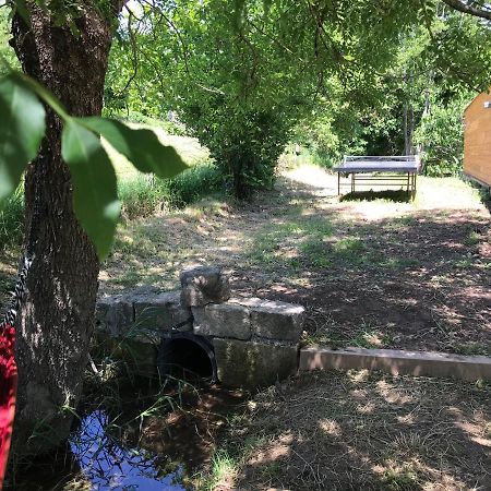 Gite Dans Le Sud Aveyron Saint-Affrique Luaran gambar